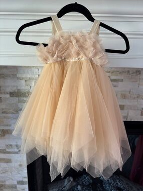 Champagne Tulle Flower Girl Dress